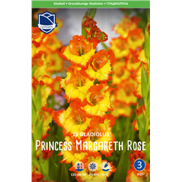 Гладиолус Принцесса Маргарет Роуз