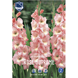 Гладиолус Роуз Суприм