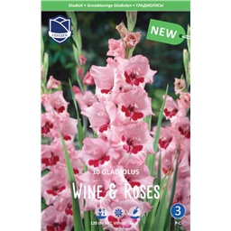 Гладиолус Вайн энд Роузес