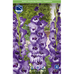 Гладиолус Виста