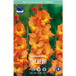 Гладиолус Тереза