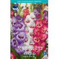 Гладиолусы Beautyful Eyes