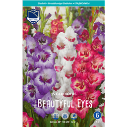 Гладиолусы Beautyful Eyes