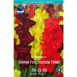 Гладиолусы German Flag