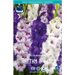 Гладиолусы Rhythmand Blues