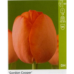 Гордон Коопер