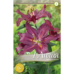 Гран Туризмо