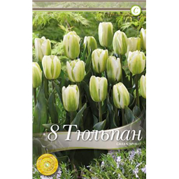 Грин Спирит