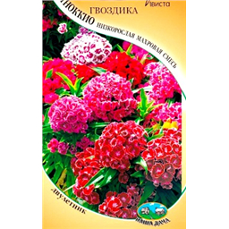 Гвоздика Пиноккио низкорослая махровая смесь