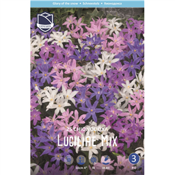 Хиондокса Смесь