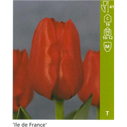 Иль де Франс