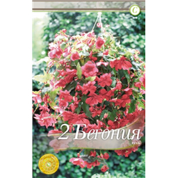 Иллюминейшн Пинк