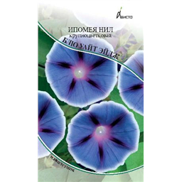 Ипомея  Нил  Блю Уайт Эйдж  крупноцветковая