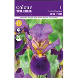 Ирис Блю Пёрл 
