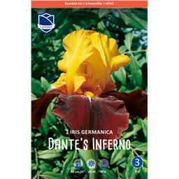 Ирис Данте'c Инферно