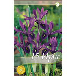 Ирис Джордж