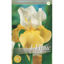Ирис Гласир Голд