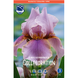 Ирис Коллаборейшн