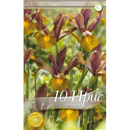 Ирис Лион Кинг