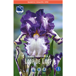 Ирис Луп зе Луп