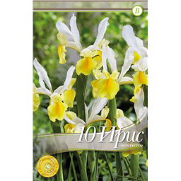 Ирис Монтесито