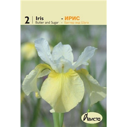 Ирис сибирский Баттер энд Шуга