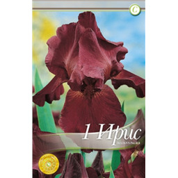 Ирис Султан Палас