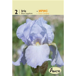 Ирис германский Блю Сапфир