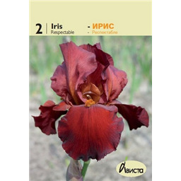 Ирис германский Респектабле