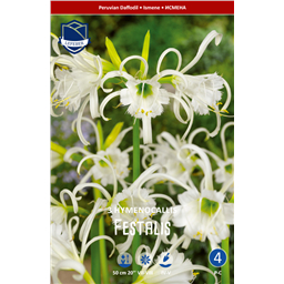 Исмена Фесталис