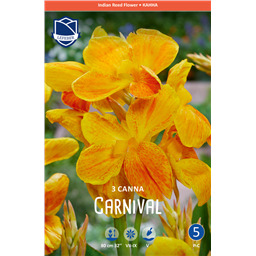 Канна Карнавал 