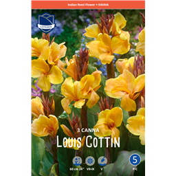 Канна Луис Коттон 