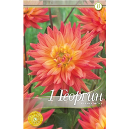 Карма Корона