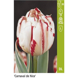 Карнавал де Ниц