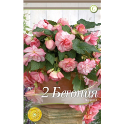 Каскад Флоренс