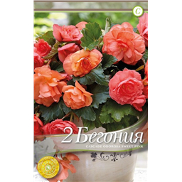 Каскад Одороса Свит Пинк