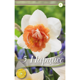 Кэнди Принцесс