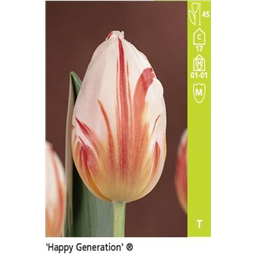 Хэппи Джерейшэн