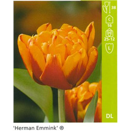 Херман Эмминк