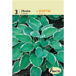 Хоста Франсе