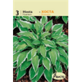 Хоста Мойерхайм