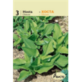 Хоста Обскура