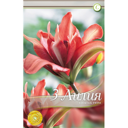 Коктейль Твинс