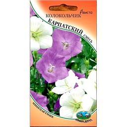 Колокольчик Карпатский смесь