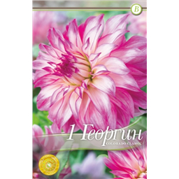 Колорадо Классик