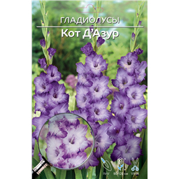 Кот д Азур
