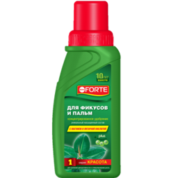 Красота для Фикусов и Пальм