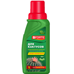 Красота для Кактусов