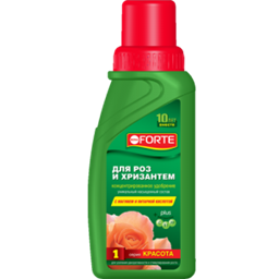 Красота для Роз и Хризантем