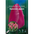 Тюльпан Простой Ранний Крисмас Дрим
